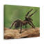Wall Art on Canvas-1833091294