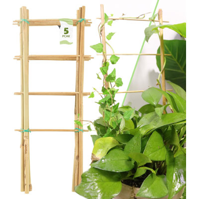 5 Pack 16 Inch Bamboo Trellis
