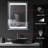 LED Lighted Medicine Cabinet with Mirror