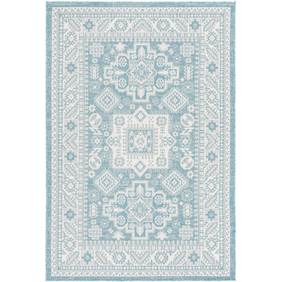 Tapis d'extérieur couleur bleu