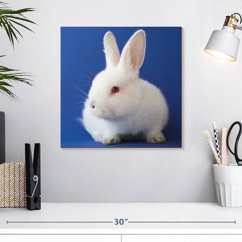 Brampt White Bunny On Blue, 16" H x 16" W