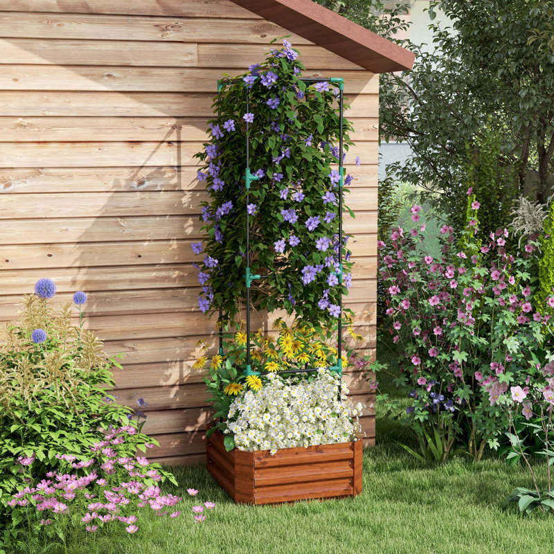 Lit de jardin surélevé, boîte à fleurs d'extérieur avec treillis