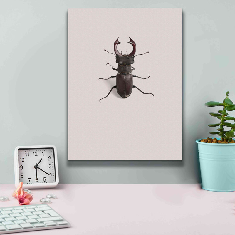 " Lucanus Cervus " by Incado, 16" H x 12" W x 0.75" D