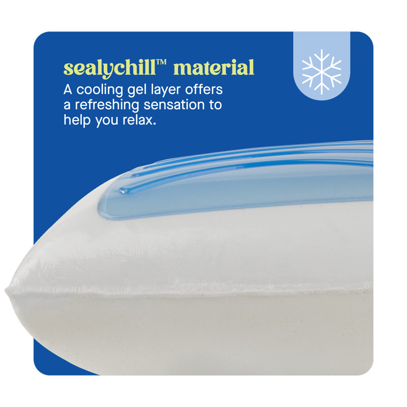 Sealy Dreamlife Standard Memory Foam Gel Pillow