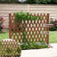 Clôture en bois naturel extensible-127829036