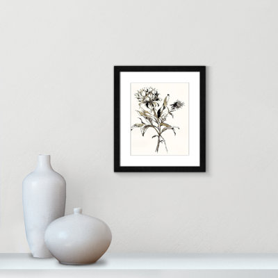 Botanical Seed I by - impression