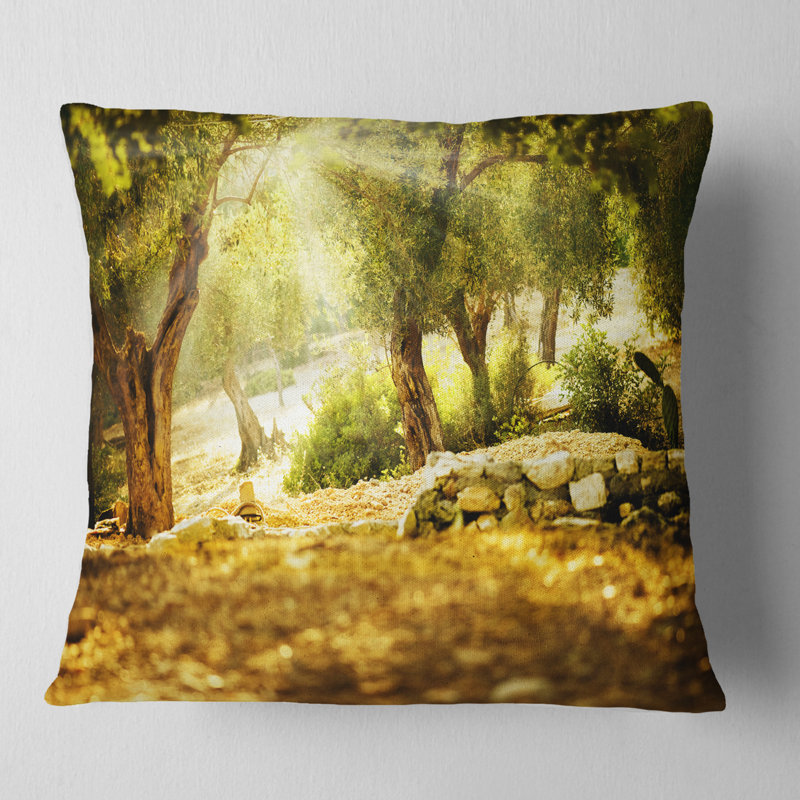 Olive Trees - Landscape Printed Throw Pillow, Square, 16" x 16"