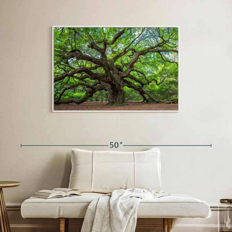 Vieux chêne, Cadre flottant blanc, 40 po x 27 po