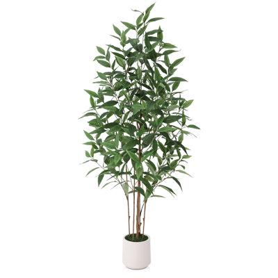 Ashwell 60" Eucalyptus Tree in Planter