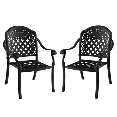 Cast Aluminum Patio Dining Chair  2Pcs  With Black Frame And Cushions - Relax Unwind Outdoors Rust Water , Comfortable Enjoy In Comfort