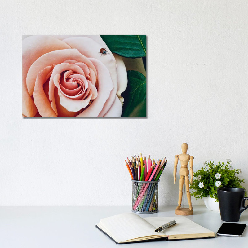 Ladybug An A Rose III by Susan Vizvary - Wrapped Canvas Print, 20.32 cm H x 30.48 cm W