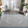 Amedee Performance Oriental Indoor/Outdoor Area Rug
