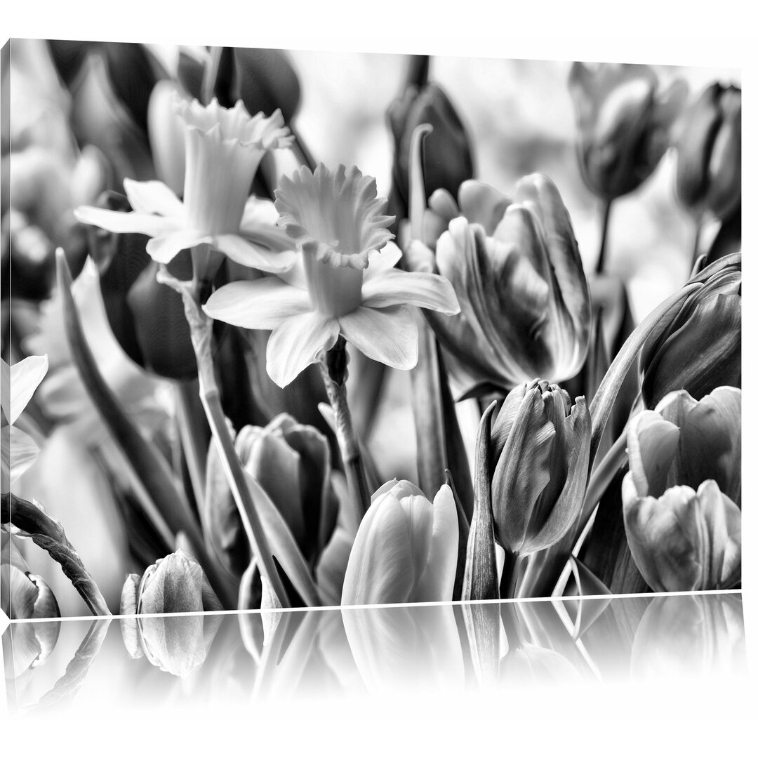 Leinwandbild Farbenfrohe Osterglocken und Tulpen in Monochrom