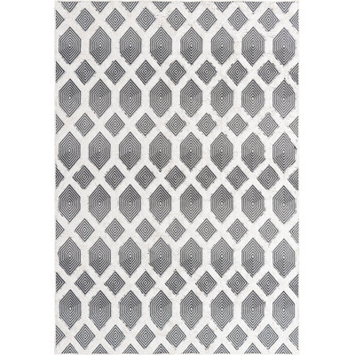 Mishti Cotton Moroccan Indoor Rug