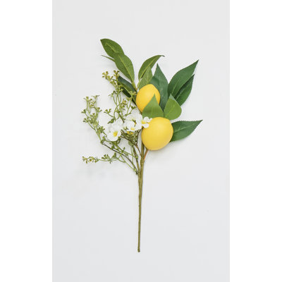 Citron, feuilles vertes et fleurs blanches
