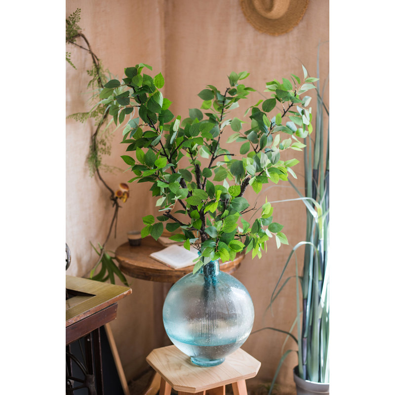 Branche de tige de camellia à feuille, H 39 po x l 3 po x P 2 po