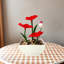 Fontaine de bureau rouge lotus