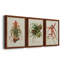 Elegant Tropicals IV - Ensemble de 3 peintures sur toile encadrées-1823053504-1823053511