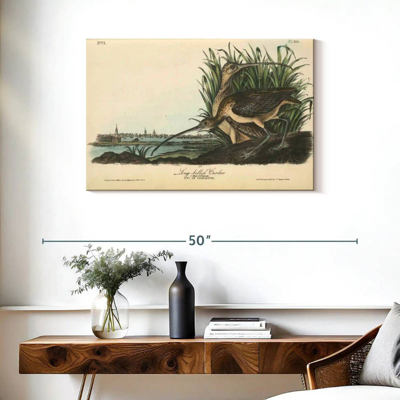 Brampt Long-Billed Curlew, 24" H x 36" W