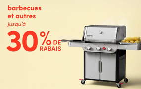 barbecues et autres en solde