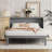Queen Murphy Bed with USB Ports and Removable Side Shelves Fold Down Wall Bed with Dual Outlets Space Saving Cabinet Bed in Two Finishes-1990883516-1990883519