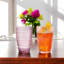 Verre à gin 8,5 oz Namiya (ensemble / 4)-430318975-430318973