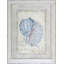 Shell Ephemera III Print by Zarris