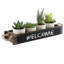 Ensemble de 4 plantes succulentes artificielles 5,9 po dans un pot à fleurs