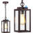 11'' Hardwired Outdoor Hanging Light-100015618