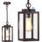 11 " Hardwired Outdoor Hanging Light-100015618