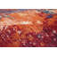 Tapis unique rouge / bleu 8 pi 11 po x 11 pi 9 po