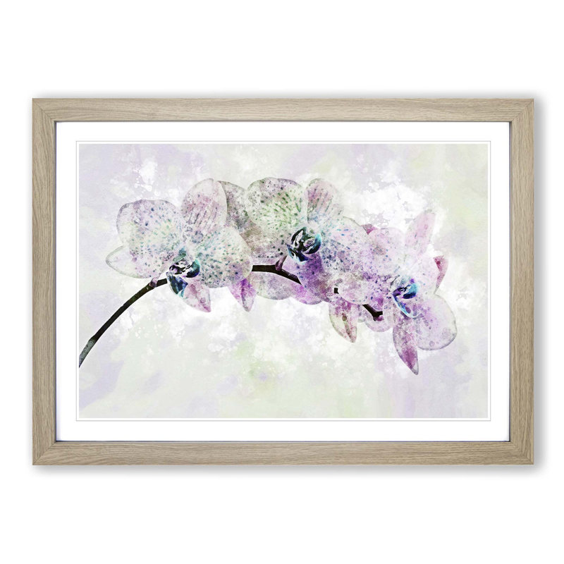 Colourful Orchids in Abstract - Picture Frame Graphic Art Print on MDF, 36cm H x 48cm W x 2cm D, Oak Framed