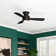 Lasky 44'' Ceiling Fan with LED Lights