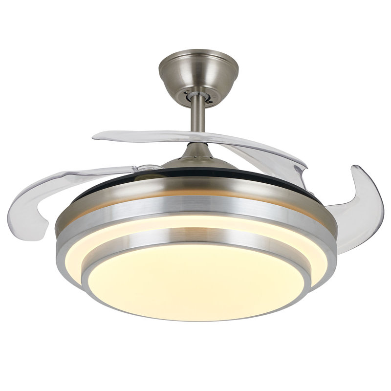 Junito 36'' Ceiling Fan with LED Lights