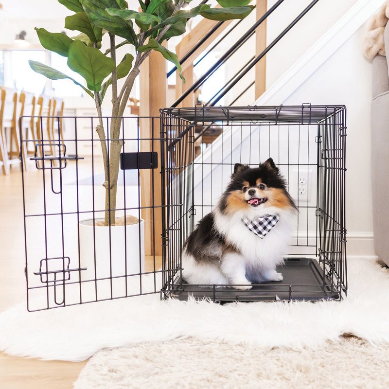 Small Black Foldable Metal Dog Crate with Tray