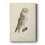 French Owls VI - Galerie Cavas sur mesure-1410900398