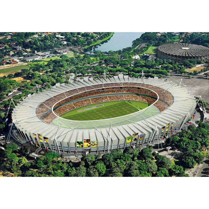 Stade Mineirao