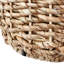 Acer Wicker/Rattan Table Lamp-112247740
