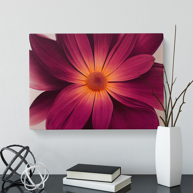 Harmonious Daisy Flower - Wrapped Canvas, 50cm H x 76cm W x 3cm D