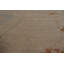Tapis oriental à motif de teinture végétale Oushak 6