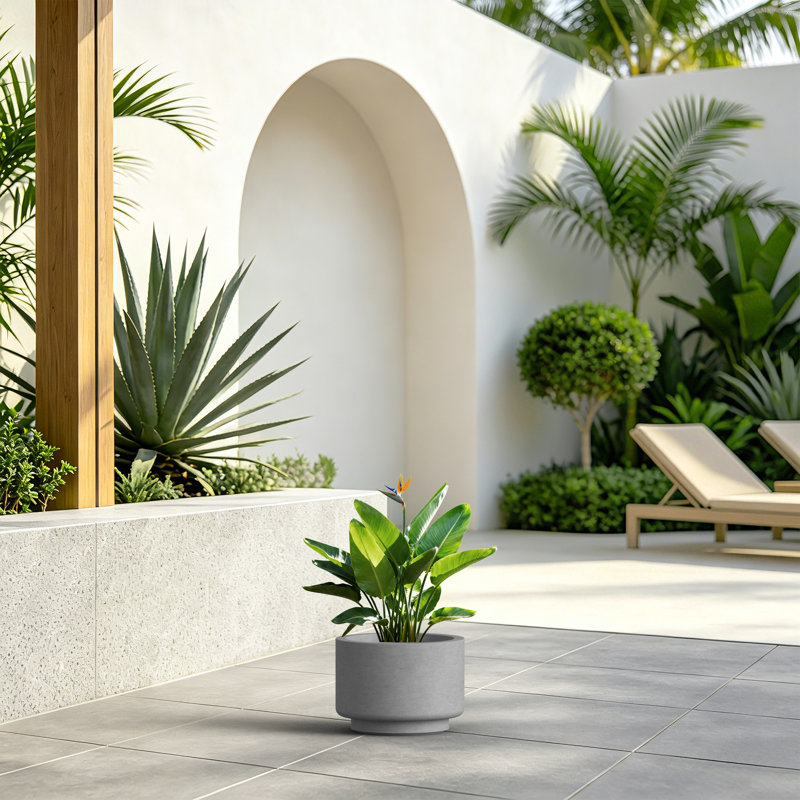Grand pot / jardinière rond en béton gris moyen de 9,5 po x H 7 po avec trou de drainage pour l'intérieur et l'extérieur