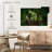 Alvord Sunlit Rainforest-108868330