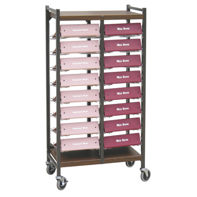 Big Beam 53.38'' H x 27.5'' W File Cart with Wheels