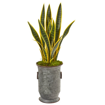 33'' Faux Sansevieria Plant in Metal Urn
