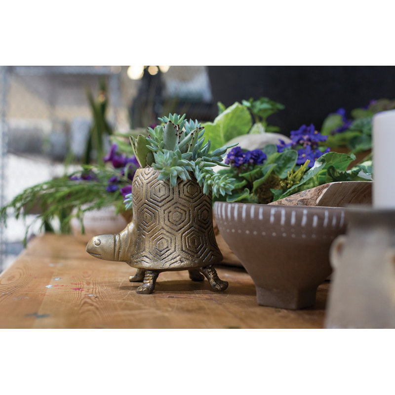 Pot à tortues Tommie, H 7,50 po x l 5,25 po x P 6,25 po