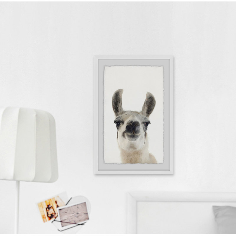 Adrienne «Black and White Llama», reproduction d'impression encadrée, H 12 po x l 8 po