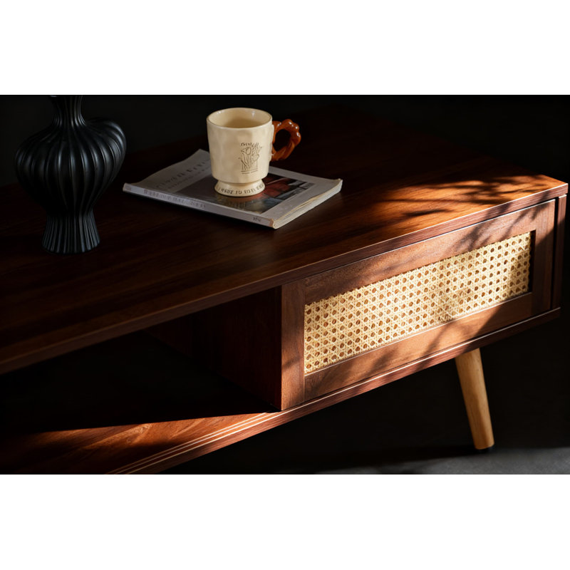 Table basse en rotin PE, porte coulissante pour rangement, pieds en bois massif, Noyer