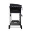 Barbecue d'extérieur au gaz propane 4, 49200Btu, SS, grilles de cuisson en émail métallique, table d'appoint pliable, support à panier suspendu, barbecue avec sortie 49200Btu, pour