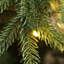 Sapin de Noël vert Aldred-1684586859