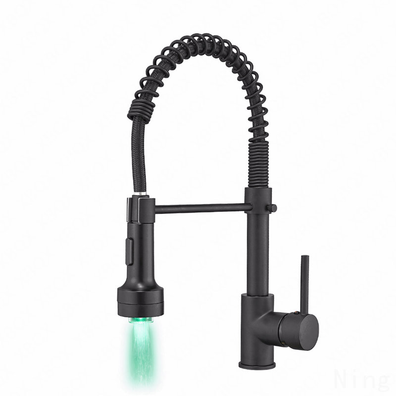 Robinet d'évier de cuisine à poignée simple avec douchette extractible, Noir
